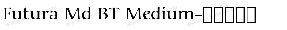 Futura Md BT Medium字体转换